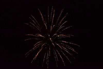 DSC_3388 (Large).JPG